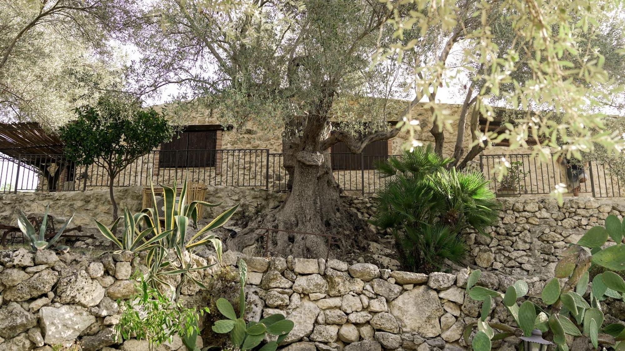 Roba Degli Ulivi Bed and Breakfast Agrigento Buitenkant foto