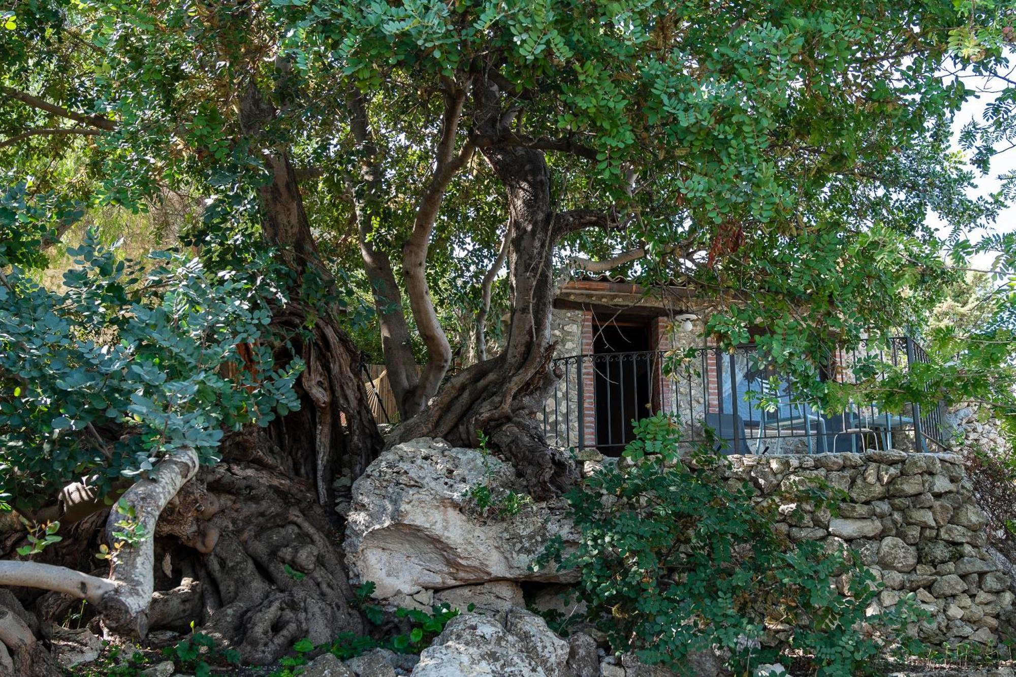 Roba Degli Ulivi Bed and Breakfast Agrigento Buitenkant foto